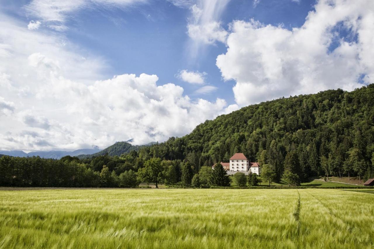 Grad Strmol Villa Cerklje na Gorenjskem Exterior photo