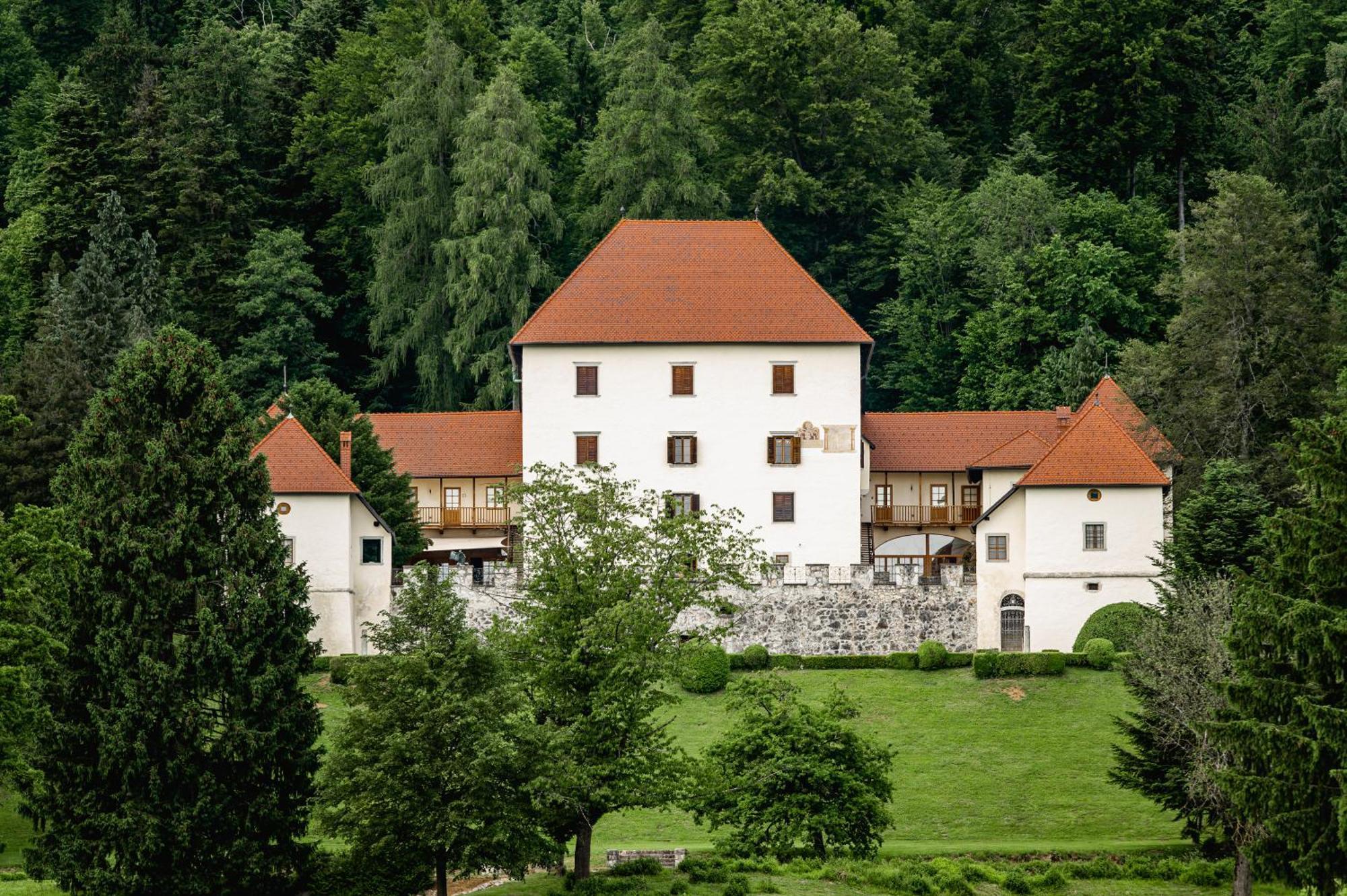 Grad Strmol Villa Cerklje na Gorenjskem Exterior photo